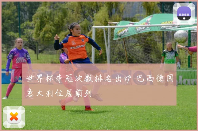 世界杯夺冠次数排名出炉 巴西德国意大利位居前列