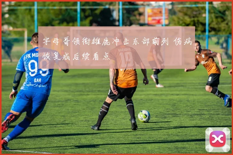 字母哥领衔雄鹿冲击东部前列 伤病恢复成后续看点