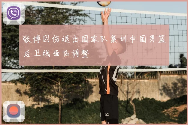 张博因伤退出国家队集训中国男篮后卫线面临调整