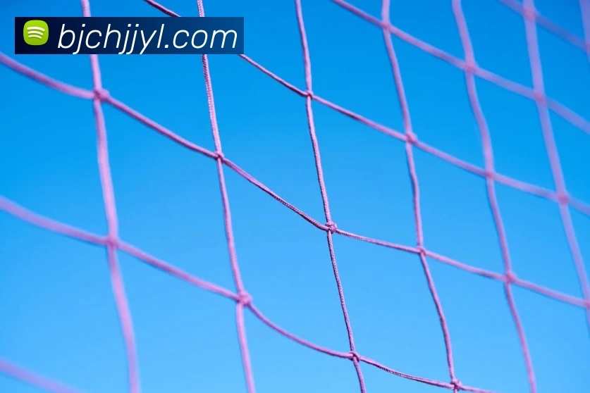 世界杯app官网品牌故事